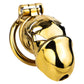 FRRK-311A Chastity Cage Birdcage for Men
