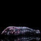 Dark Long Worm Male Masturbator