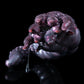Dark Long Worm Male Masturbator