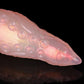 Octopus Tentacle Orange-Pink Transparent Dildo