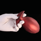 Textured Inflatable Anal Plug – Pinecone Design Expansion Toy