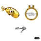 FRRK-311A Chastity Cage Birdcage for Men